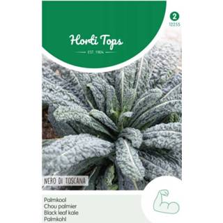 👉 Hortitops Palmkool Brassica oleracea var. acephala Nero di Toscane - Kool - 2 gram