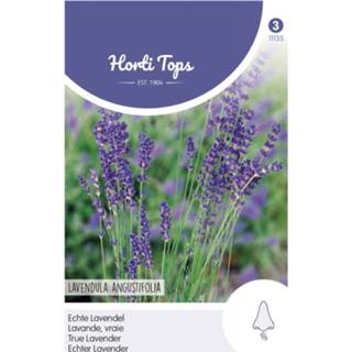 👉 Hortitops Lavendel Lavandula angustifolia Lavandula Officinalis - Kruidenzaden - 0,75 gram