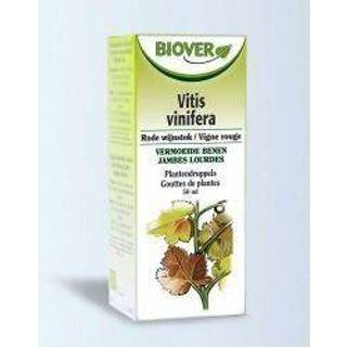 👉 Biover Vitis vinifera 50 ml 5412141002211