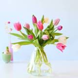 Active pastel Tulpen