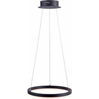 👉 Hanglamp zwarte active Paul Neuhaus TitusØ 40cm 2381-13 4012248305140