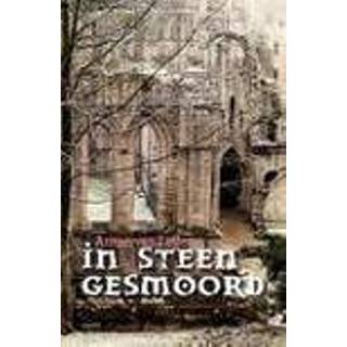 👉 Steen In gesmoord. roman, Van Leijen, Anton, Paperback 9789463381420