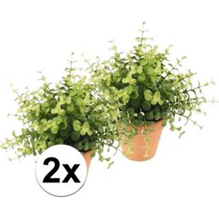 👉 2x Nep eucalyptus plant groen in terracotta pot kunstplant