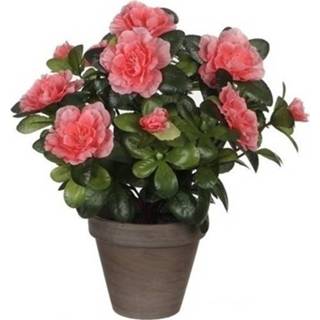 👉 Groene Azalea kunstplant perzikkleurige bloemen 27 cm in pot