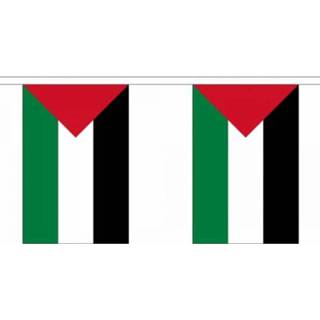 👉 Vlaggenlijn Palestina