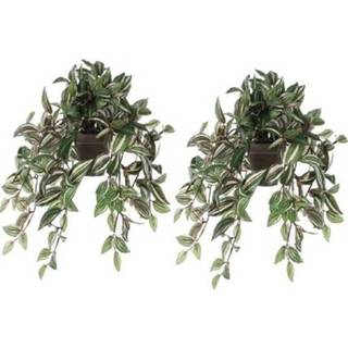 👉 Kunstplant active groene groen kunststof 2x Tradescantia/vaderplant 45 cm hangende pot
