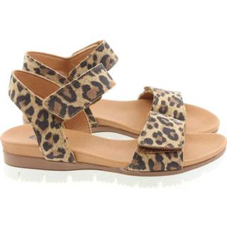 👉 Vrouwen beige Giga G3750