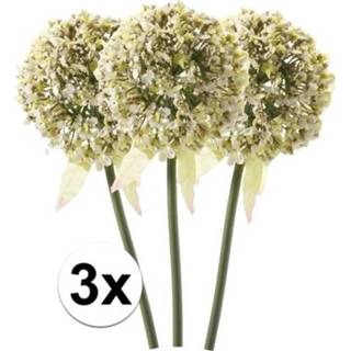 👉 Kunstbloem witte 3x sierui kunstbloemen 70 cm