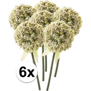 👉 Kunstbloem witte 6x sierui kunstbloemen 70 cm