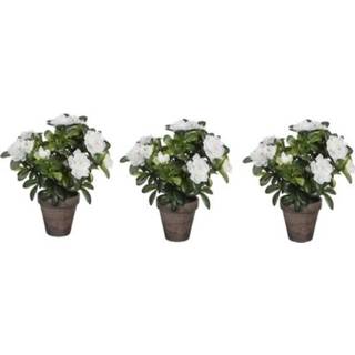 👉 3x Groene Azalea kunstplant witte bloemen 27 cm in pot stan grey