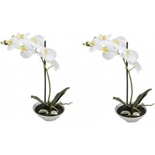 👉 2x Witte vlinderorchidee kunstplant in pot 38 cm