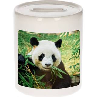 👉 Spaarpot active Foto panda 9 cm - Cadeau pandaberen liefhebber