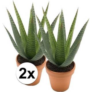 👉 2x Nep aloe vera plant groen in terracotta pot kunstplant