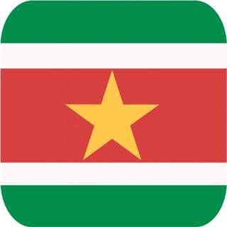 Bierviltjes Surinaamse vlag vierkant 15 st