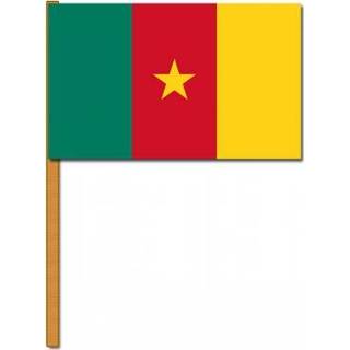 👉 Feest Zwaaivlag Kameroen