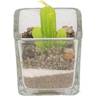 👉 Kaars active Cactus plant kaarsje