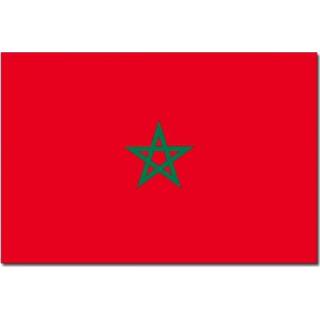👉 Vlag Marokko 90 x 150 cm feestartikelen