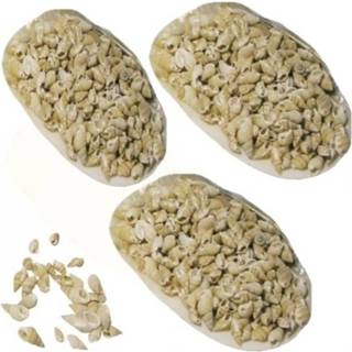 👉 Posthoorn active multi steen 3x decoratie schelpen in grote parelmoerschelp