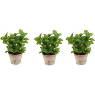 👉 Kunst plant active groene 3x kunstplant basilicum kruiden in pot