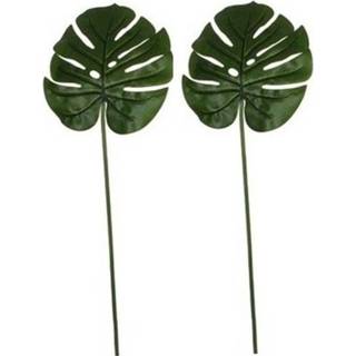👉 Kunstplant groene 2x Monstera/gatenplant kunsttak 70 cm
