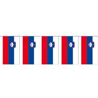 👉 Papieren vlaggenlijnen Slovenie