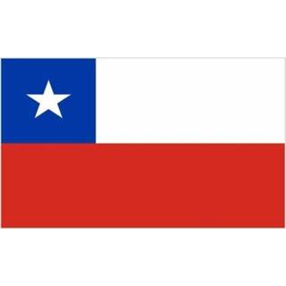 👉 Vlag active van Chili mini formaat 60 x 90 cm