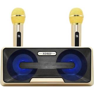 👉 Microfoon goud active SDRD SD-301 2-in-1 familie KTV draagbare draadloze live dubbele + Bluetooth-luidspreker (goud)