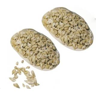 👉 2x Schelp met posthoorn schelpjes