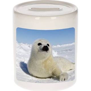 👉 Spaarpot active Foto zeehond 9 cm - Cadeau zeehonden liefhebber
