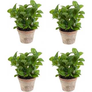 👉 Kunst plant active groene 4x kunstplant basilicum kruiden in pot