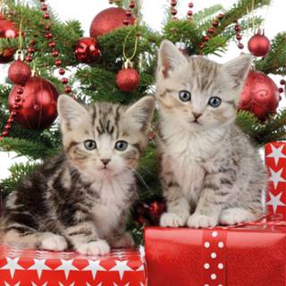 👉 Kerst servet active 20x Kerstservetten met 2 kleine katjes/poesjes 33 cm