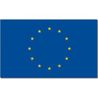 👉 Vlag Europa 90 x 150 cm