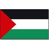 👉 Landen thema vlag Palestina 90 x 150 cm feestversiering