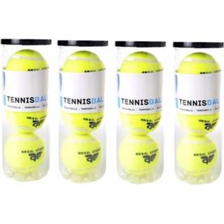 👉 Tennisballen in koker 12 stuks