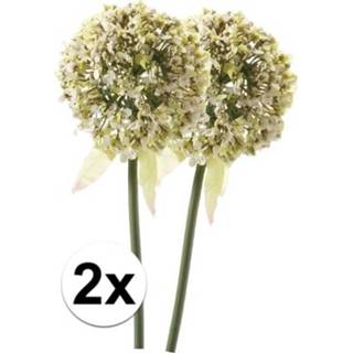 Kunstbloem witte 2x sierui kunstbloemen 70 cm