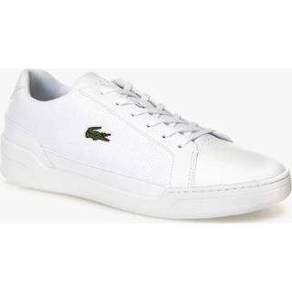 👉 Kant male wit Lacoste Challenge 2999006189681