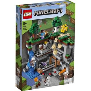 👉 Lego Minecraft Het Allereerste Avontuur - 21169 5702016913873