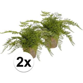 👉 Kunstplant groene 2x herfst varen Dryopteris erythosora in pot