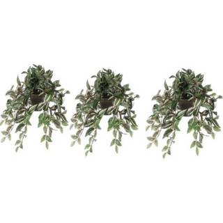 👉 3x Groene Tradescantia/vaderplant kunstplant 45 cm pot
