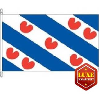 👉 Vlag active van Friesland 100 x 150 cm