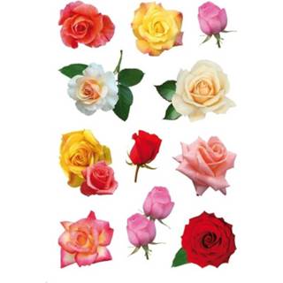 Active kinderen multi papier 99x Gekleurde rozen bloemen stickers