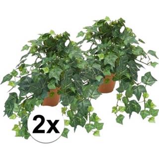 👉 Kunst plant active groene 2x kunstplant klimop in pot