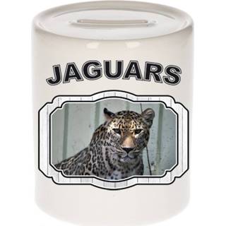 👉 Spaarpot keramiek One Size meerkleurig jongens meisjes Dieren liefhebber jaguar 9 cm en - Cadeau spaarpotten jaguars 8720276879156