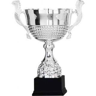 👉 Zilveren active Grote beker/cup/trofee 36 cm