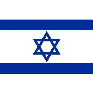 👉 Stickertjes van vlag van Israel