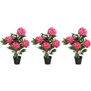 👉 Rozenstruik groene roze zwarte active 3x Groene/roze pioenroos kunstplanten 57 cm met pot