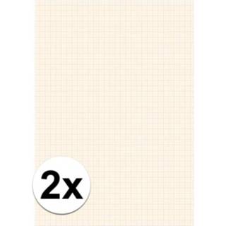 👉 Millimeterpapier active 2x 25 vel millimeter papier blok