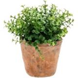 👉 Nep eucalyptus plant groen in oude terracotta pot kunstplant
