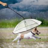 👉 Paraplu transparant active voor huisdieren verstelbare regenachtige hond Looplijn
