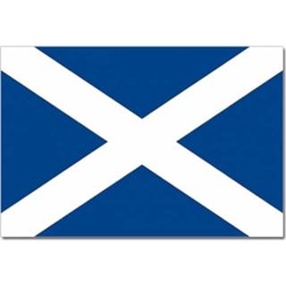 👉 Vlag Schotland 90 x 150 cm feestartikelen
